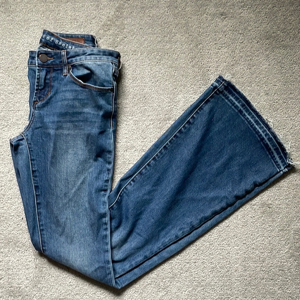 Articles of Society Flare Denim Size 24